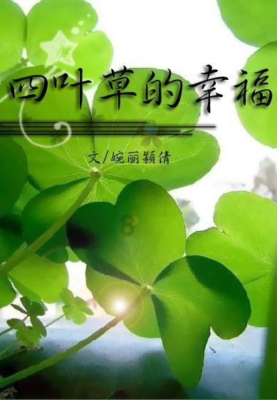 88影视